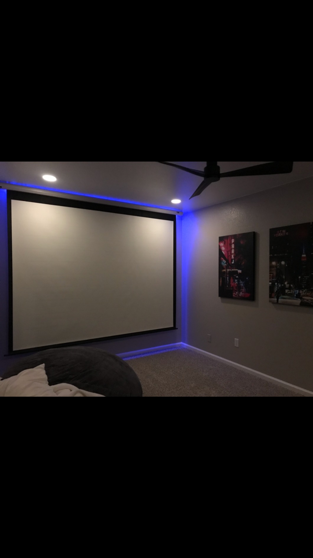 Elite Screens Spectrum RC1 Remote, 180-INCH Diag 16:9, Motorized Projection Screen Movie Home Theater 4K/8K Ultra HD Ready, ELECTRIC180H2 customer photo 1