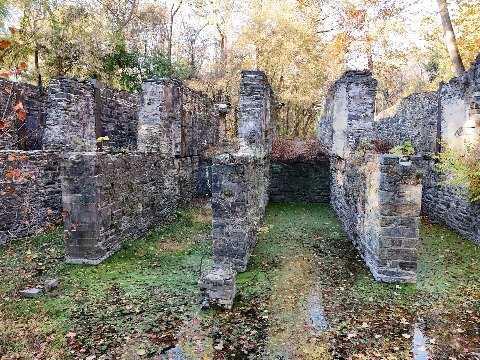 DJI Air 3 (DJI RC-N2), Drone with Medium Tele & Wide-Angle Dual Primary Cameras, 46-Min Max Flight Time, Omnidirectional Obstacle Sensing, 48MP Photos, 4K/60fps HDR, Compliance with FAA Remote ID customer photo 2