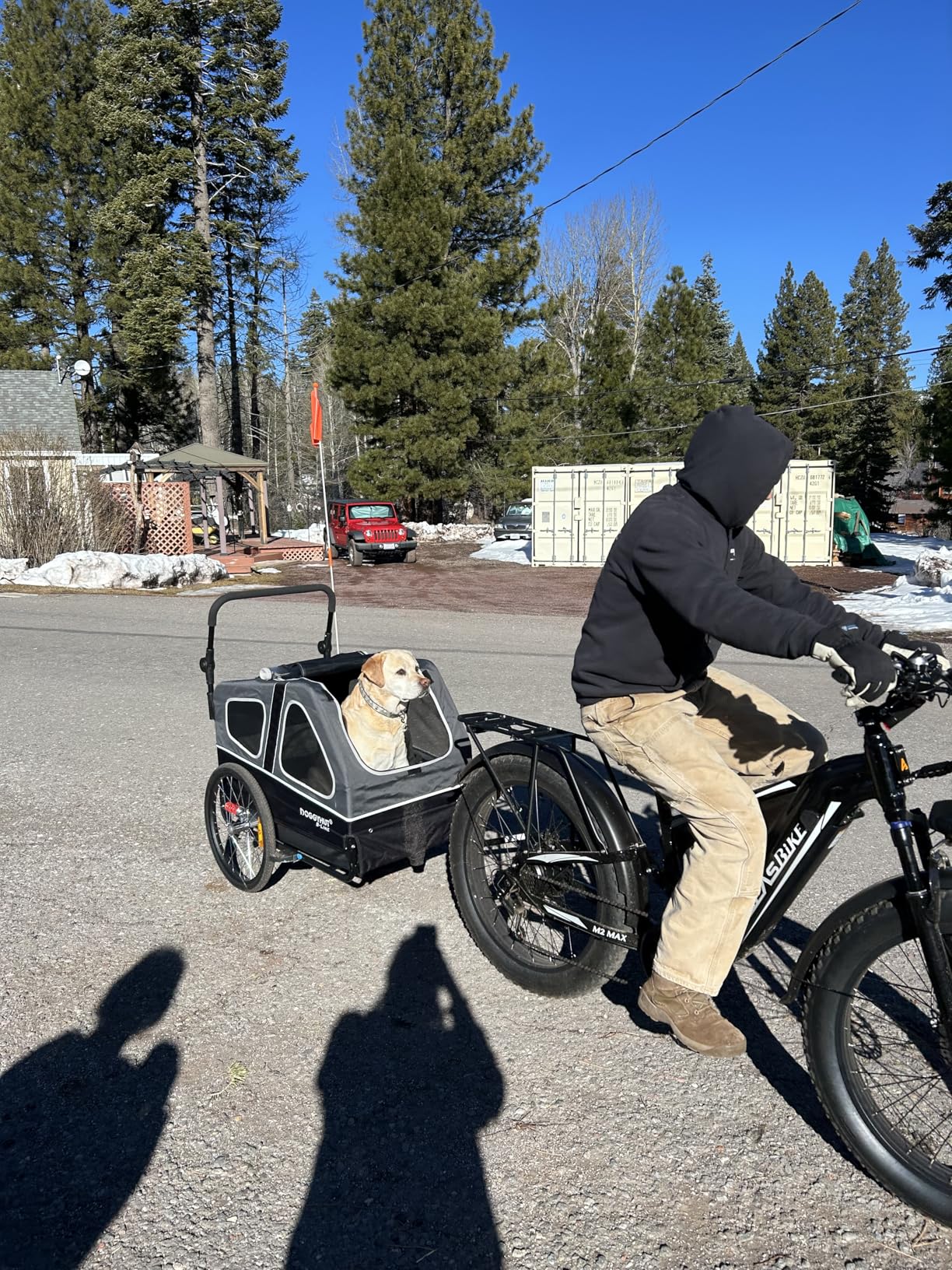 DOGGYHUT S-Line XL Pet Bike Trailer & Stroller for Large Dogs Up to 100 lbs, Folding Dog Cart with Shock-Absorbing Suspension Wheels, Low Center of Gravity, Parking Brakes customer photo 1