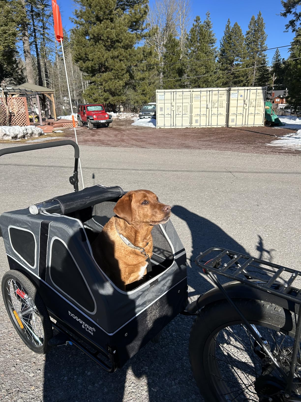 DOGGYHUT S-Line XL Pet Bike Trailer & Stroller for Large Dogs Up to 100 lbs, Folding Dog Cart with Shock-Absorbing Suspension Wheels, Low Center of Gravity, Parking Brakes customer photo 2