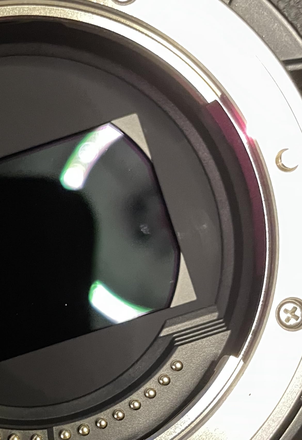 Canon EOS C70 RF24-70mm F2.8 L is USM Kit customer photo 1