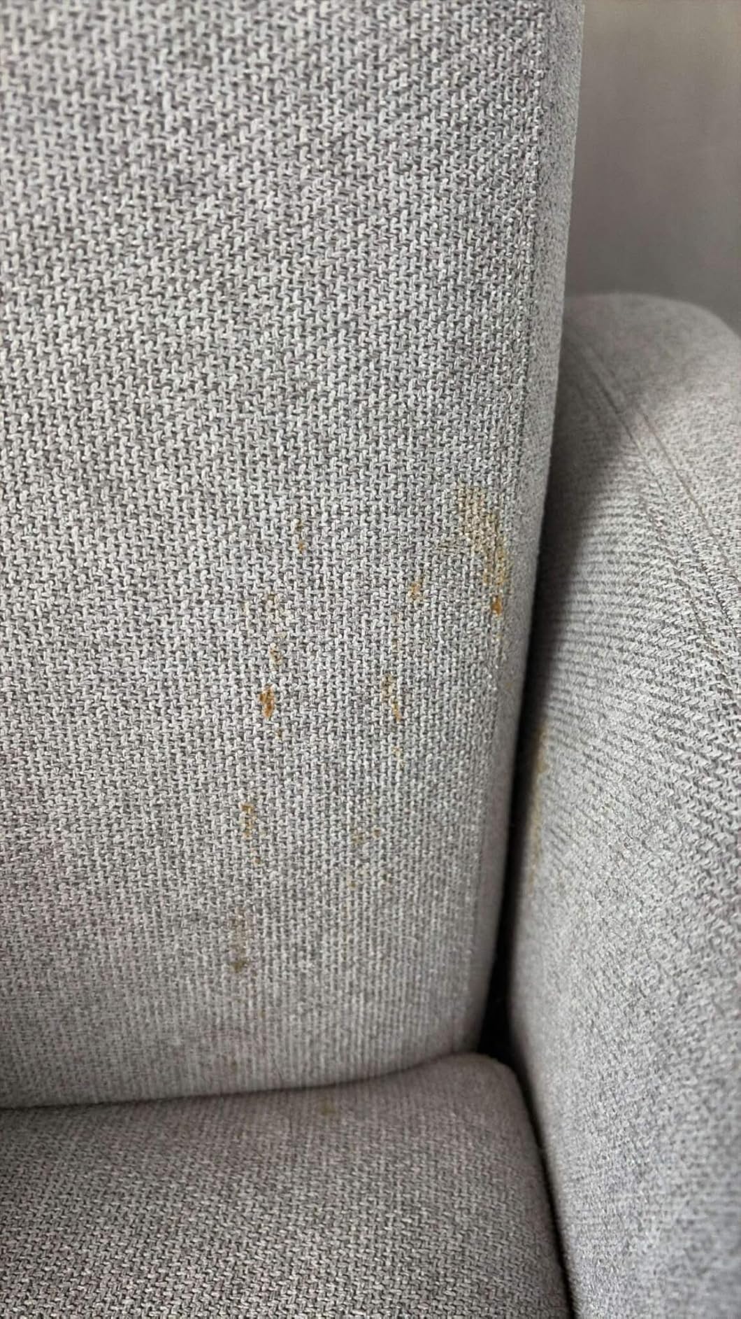 Shark StainStriker Portable Carpet Upholstery & Area Rug Cleaner, Stain & Odor Remover, Perfect for Car Interiors, Nordic Blue, PX202BRN customer photo 2