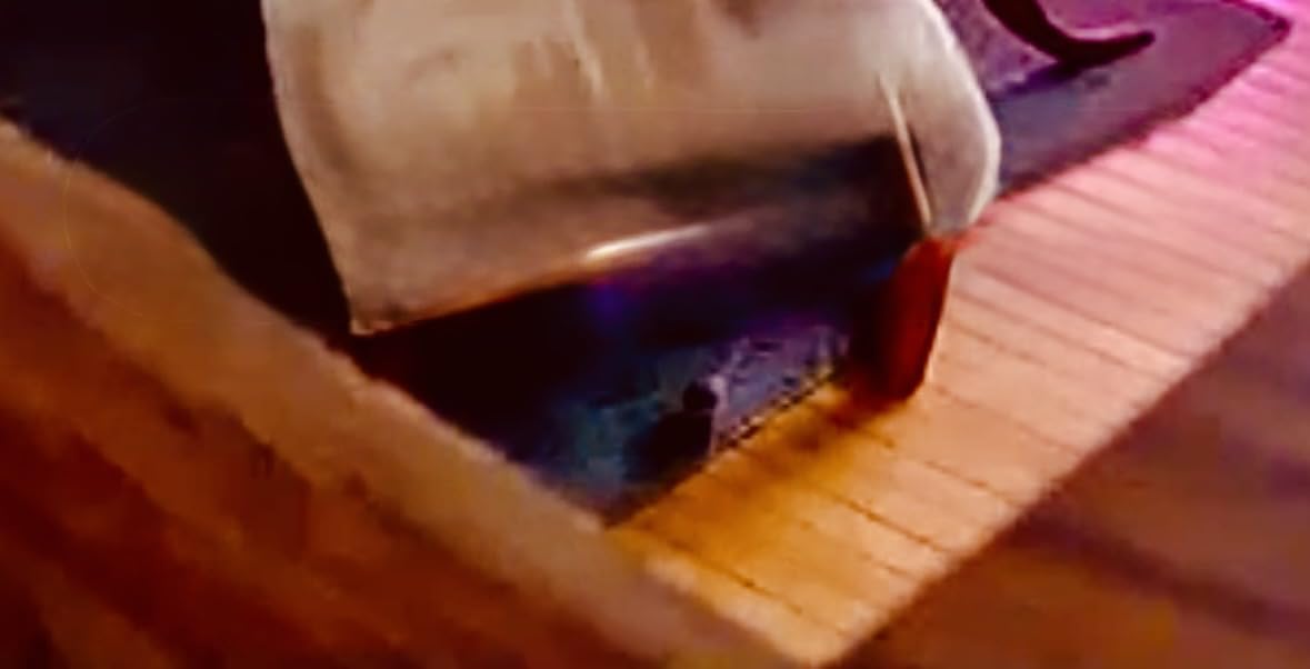 Ring Indoor Cam (2nd Gen), White with Ring Pet Tag customer photo 1