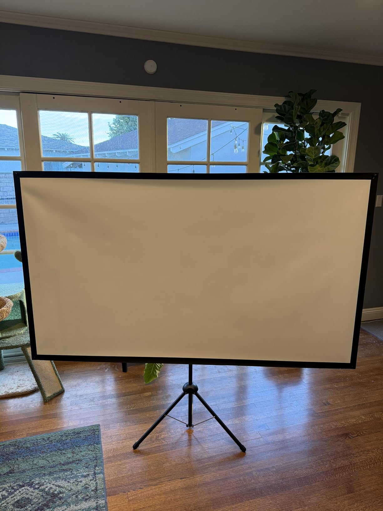 Projector Screen with Stand, Paris RHÔNE 100-inch Outdoor Indoor Projector Screen 16:9 4K HD PVC, 1.5 Gain Portable Wrinkle-Free Movie Screen for Home Backyard Theater with Carry Bag customer photo 1
