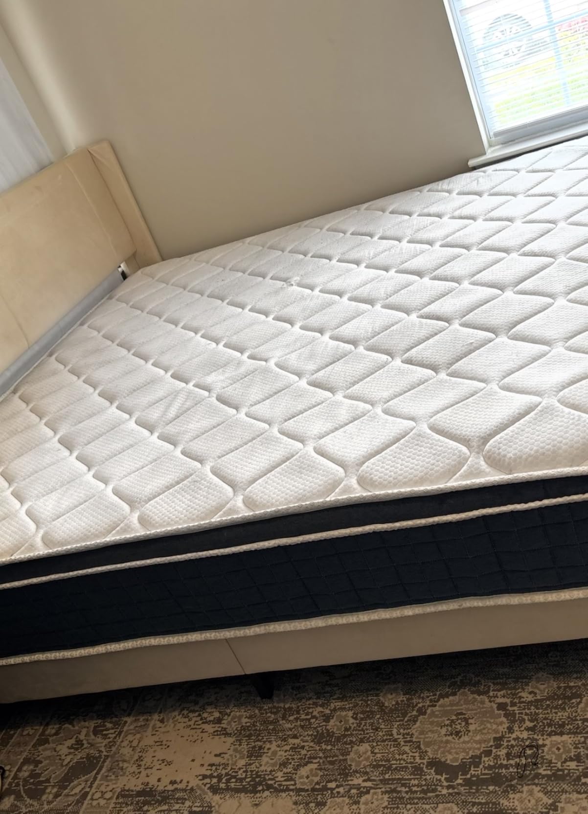 BISSELL TurboClean Pet XL Upright Carpet Cleaner, Upholstery Tough Stain Tool & Formula included, 3746 customer photo 2