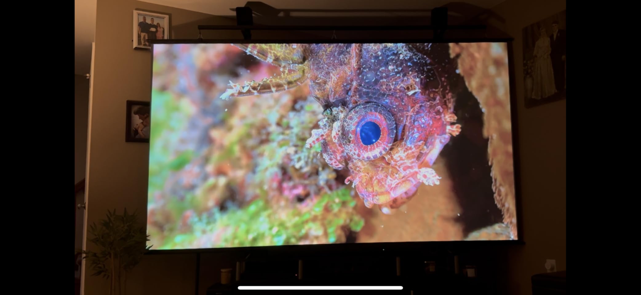 4K Projector with Wifi and Bluetooth, ELEPHAS Outdoor Movie Projector Compatible with NETFLIX/Prime Video/YouTube, 100,000+ Apps Supported, Smart Video Projector for HDMI/USB/iOS/Android/Windows customer photo 1