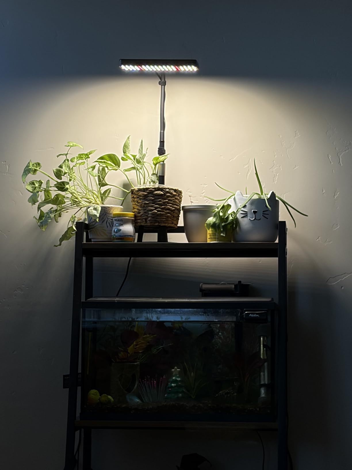 FECiDA Tabletop Grow Lights for Indoor Plants Full Spectrum, Desk Grow Lights for Seed Starting, Bonsai, 4/8/12/16/20 Hr Timer, 208PCS LEDs, 2000 Lumen, Bright Enough, 16