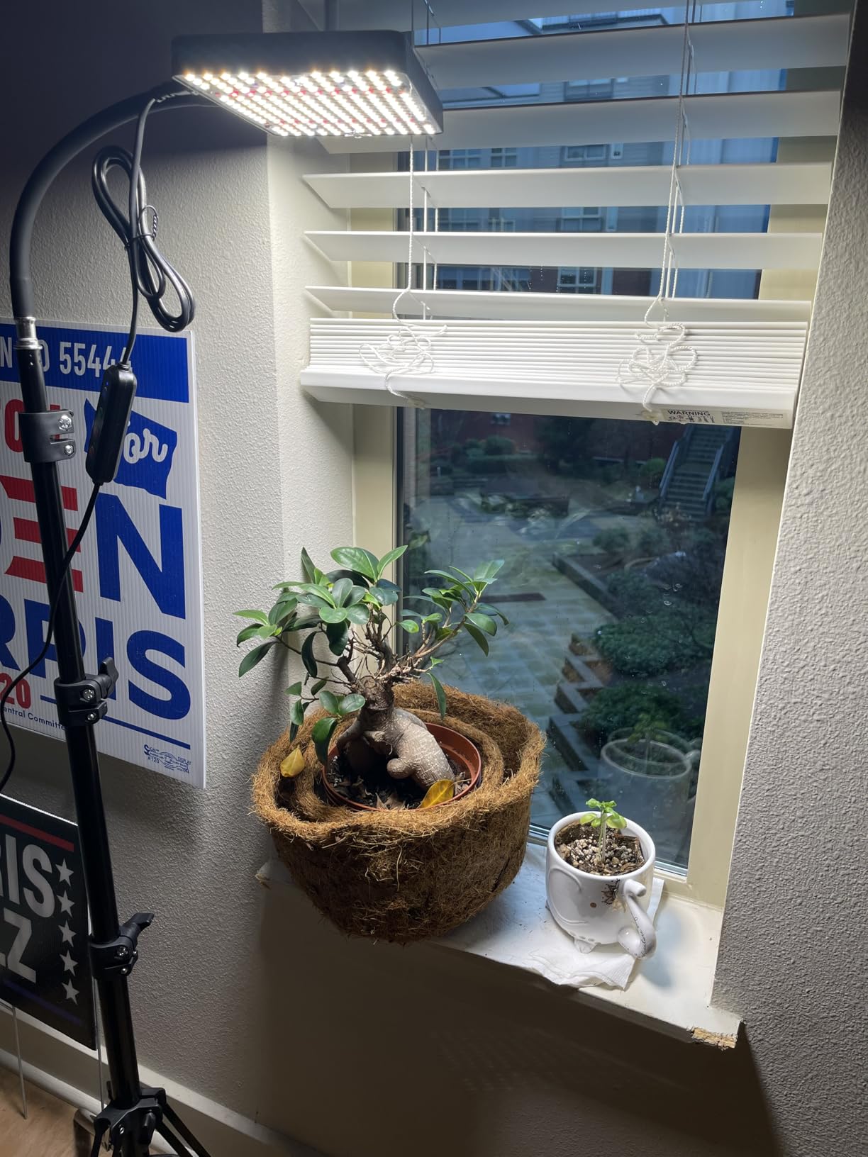 FECiDA Tabletop Grow Lights for Indoor Plants Full Spectrum, Desk Grow Lights for Seed Starting, Bonsai, 4/8/12/16/20 Hr Timer, 208PCS LEDs, 2000 Lumen, Bright Enough, 16