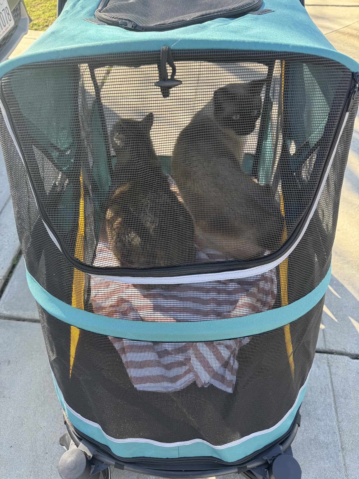 Petbobi Dog Stroller for Large & Medium Dogs - Easy Fold Dual Entry Pet Stroller with One-Foot Brake, All Terrain Wagon Cart with Air Mesh, Ideal for Large Senior Pets up to 80 lbs, Black customer photo 1