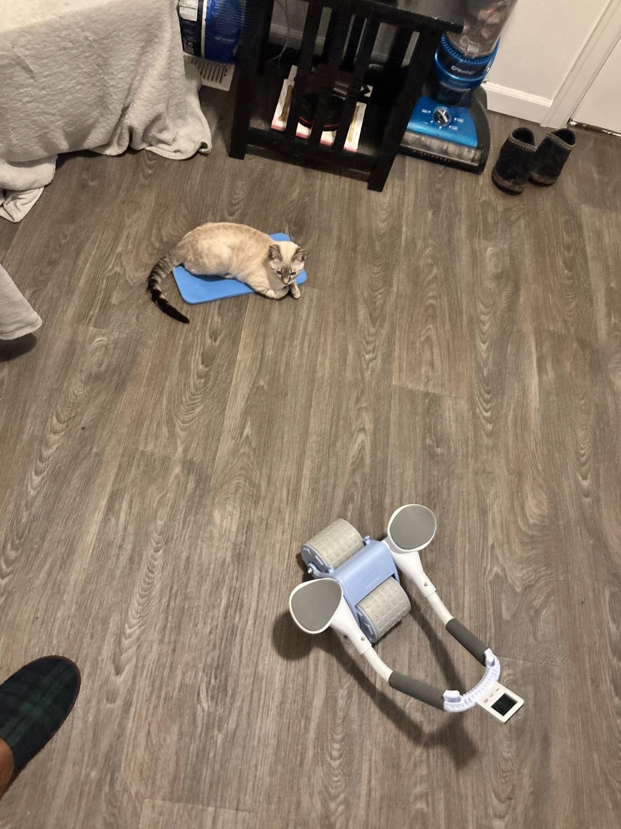 2026 New Ab Roller Wheel with Knee Mat &Timer, Automatic Rebound Abdominal Wheel, Ab Abdominal Exercise Roller with Elbow Support, Abs Workout Equipment Ab Exercise Roller for Women Men customer photo 2