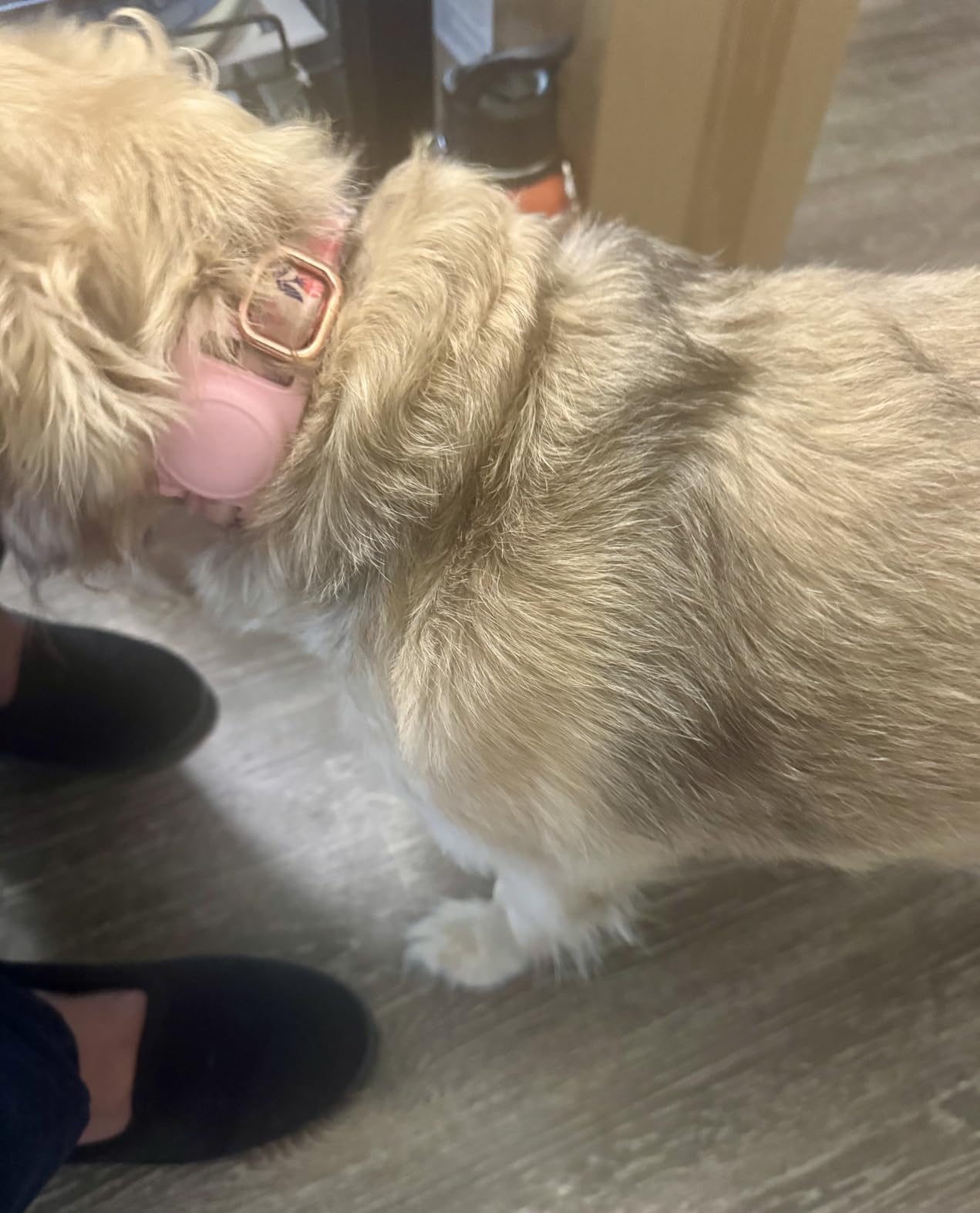 for Airtag Dog Collar Holder 2 Pack,Waterproof Dog Collar Holder for Apple AirTag(Gen 1 & 2),Silicone Air Tags Case for Dog Collars(Black) customer photo 1