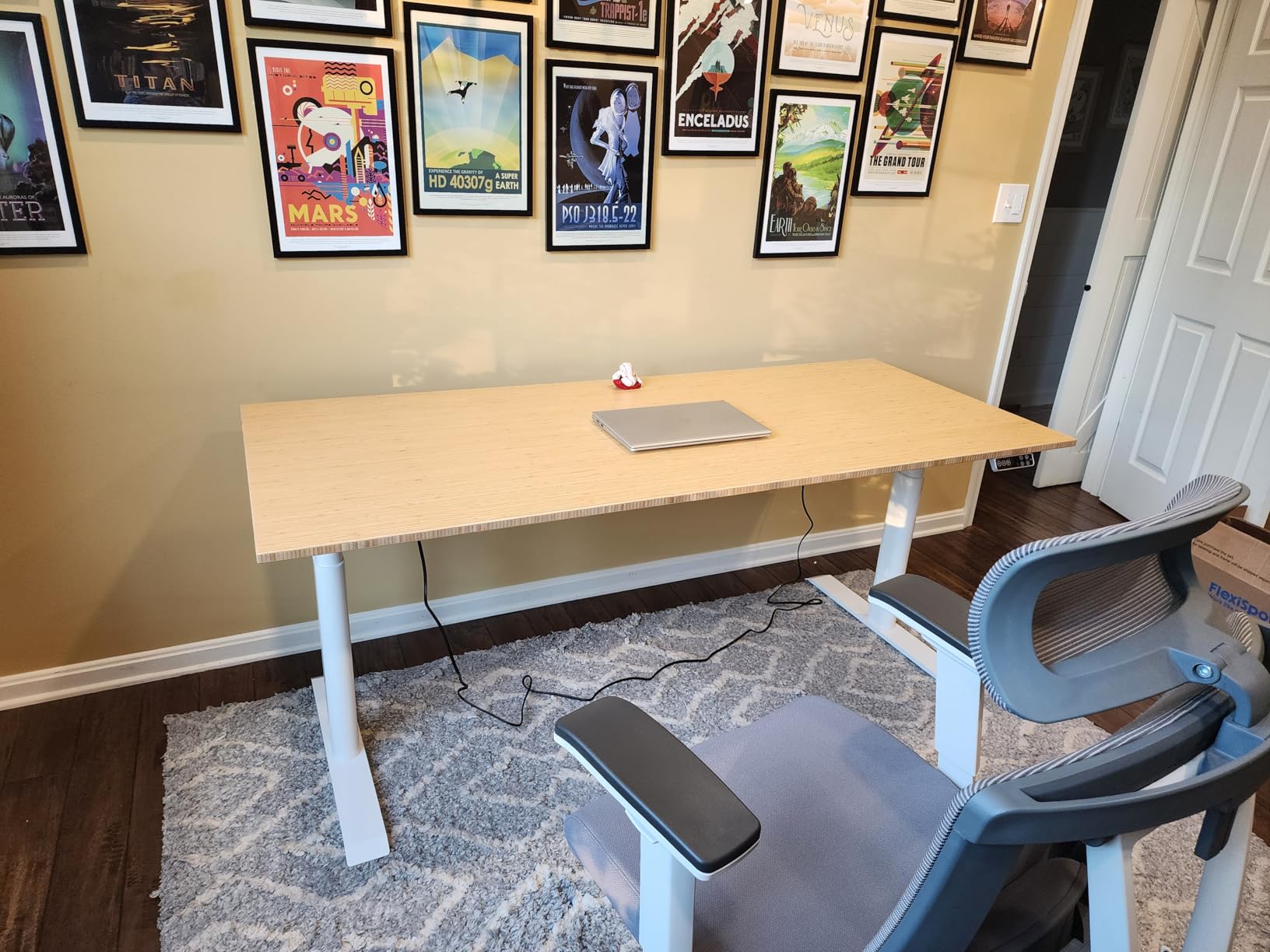 FLEXISPOT E6 Pro Oval Leg Dual Motor 3 Stages Bamboo Electric Standing Desk 55x28 Inch Whole-Piece Board Height Adjustable Electric Sit Stand Up Desk (Black Frame + Bamboo Curved Desktop) customer photo 1