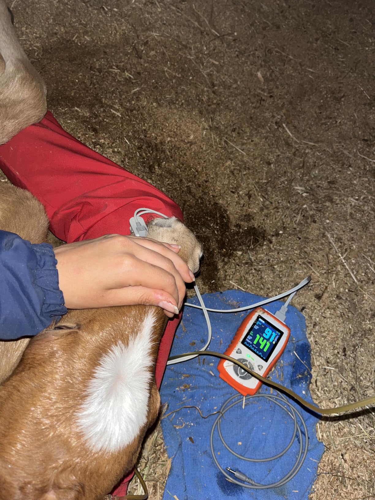 Vet Pulse Oximeter Handheld Oximeter with 2.8