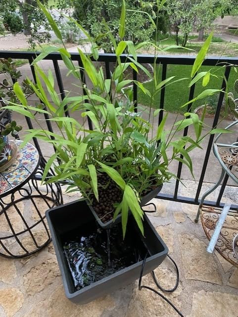 AquaSprouts Fountain: Hydroponic, Aquaponic, Water Garden Kit, Charcoal, 8 Gallons customer photo 1