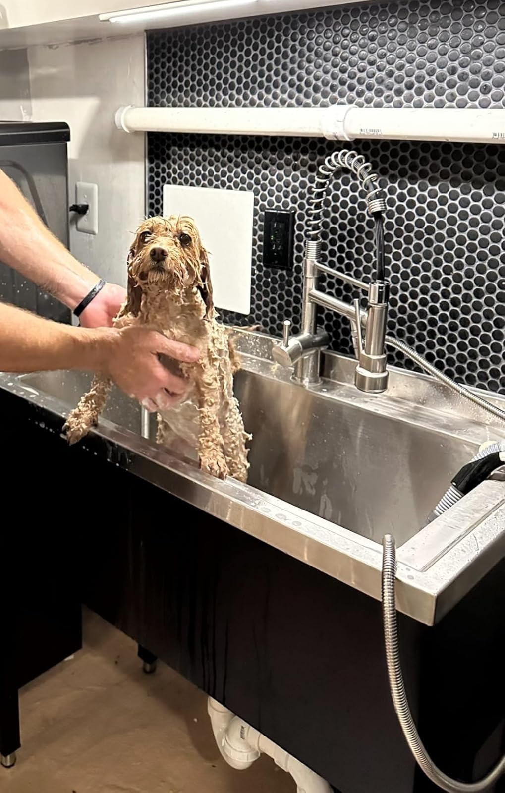 TRINITY Stainless Steel Utility Sink with Pull-Out Faucet, 36x20x49.2, NSF Certified, Freestanding Single Bowl Commercial-Grade for Garage, Laundry, Food Truck, Black customer photo 2