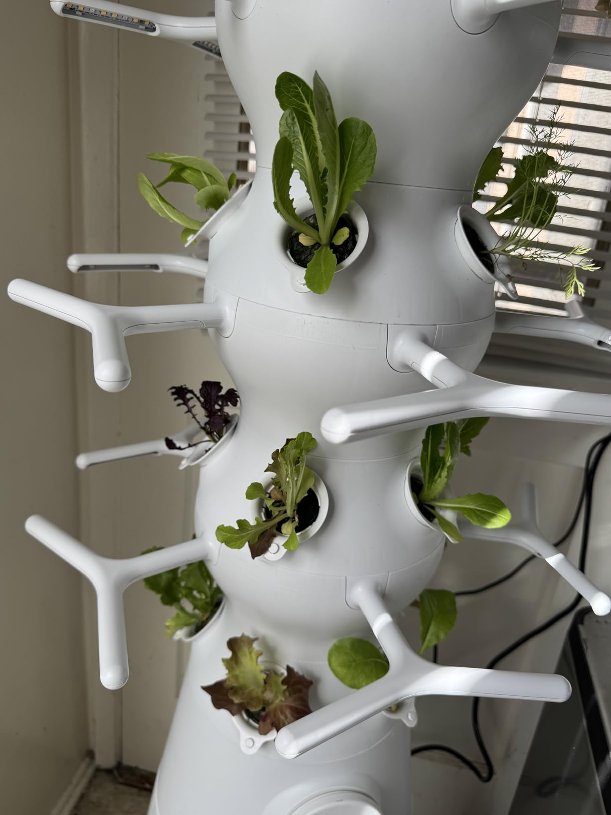 Lettuce Grow Farmstand Nook 4ft.7