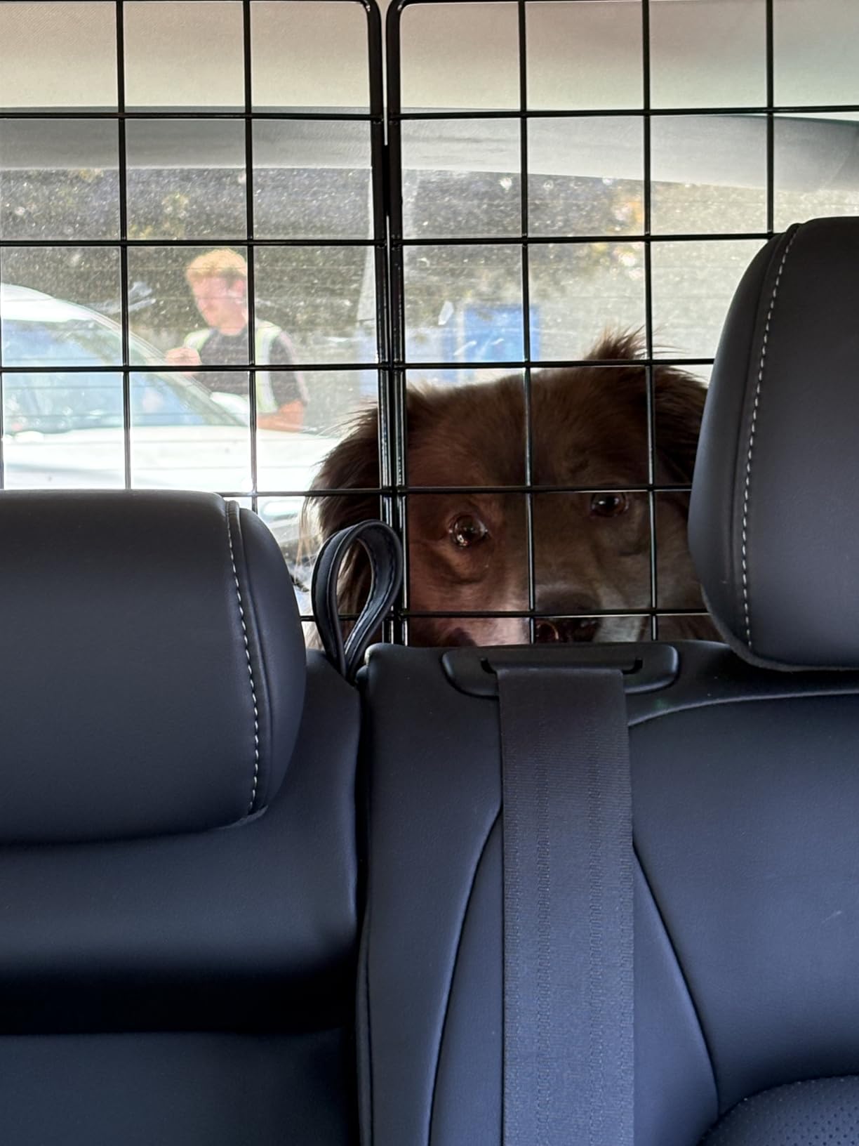 rabbitgoo Dog Car Barrier for SUVs, Adjustable Large Pet Gate, Universal-Fit Divider Cargo Net, Heavy-Duty Wire Mesh Dog Barrier SUV, Van Vehicles Subaru Car Accessories Safety Travel, Triple Folding customer photo 2