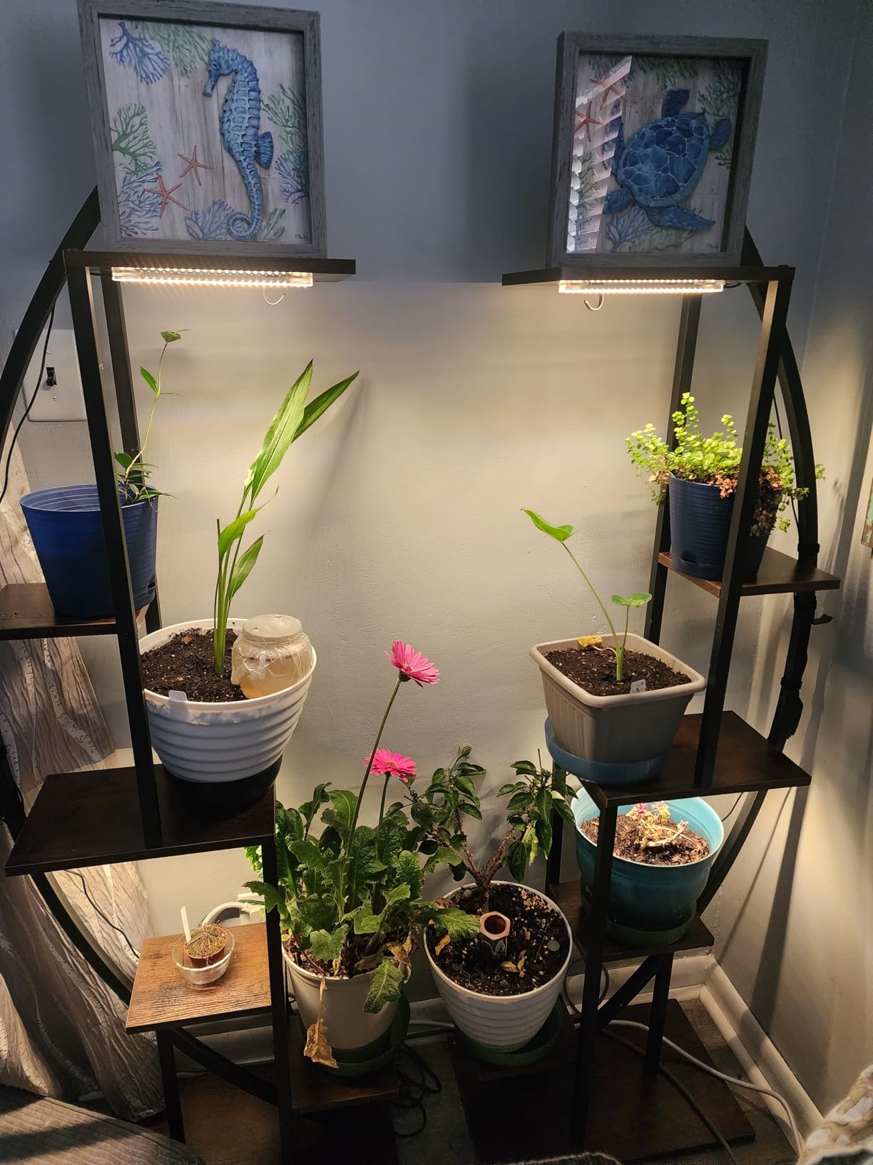 Plant Stand Indoor with Grow Lights, 6 Tiered Tall Plant Shelf, 63