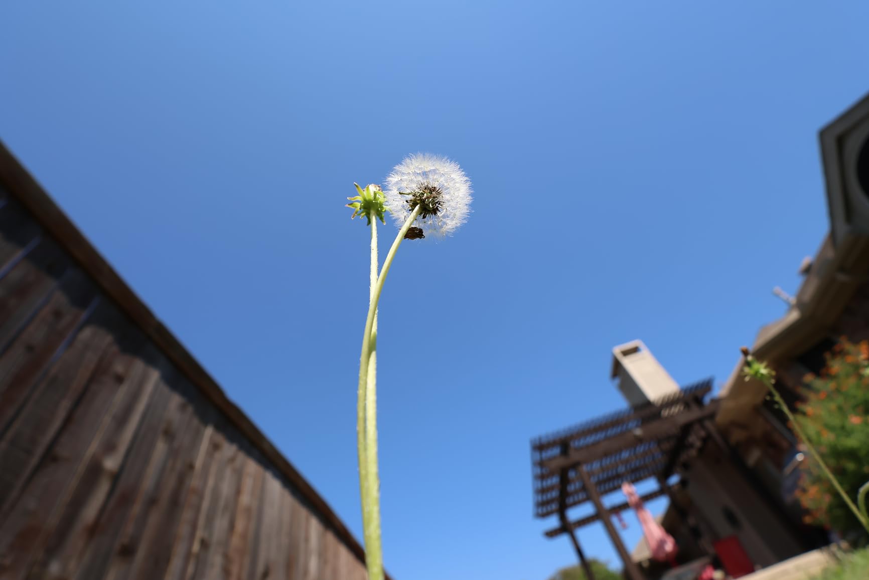 Canon RF-S10-18mm F4.5-6.3 is STM Ultra-Wide-Angle Zoom Lens, Mirrorless, 4.0 Stops of Shake Reduction, Great for Vlogging & Selfies, Compact & Lightweight customer photo 1