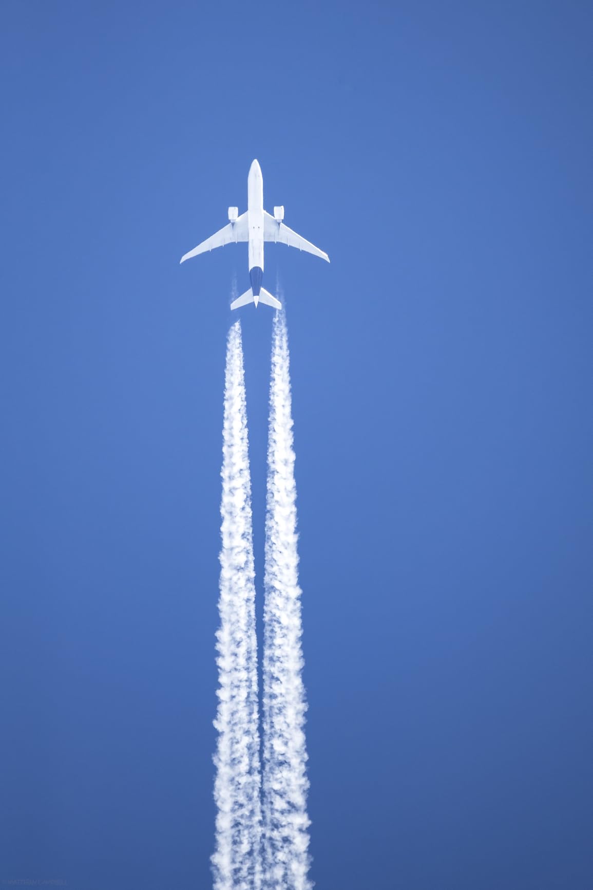 Canon RF 200-800mm F6.3-9 IS USM Super-telephoto Zoom Lens for Wildlife, Nature, Outdoor Sports customer photo 1