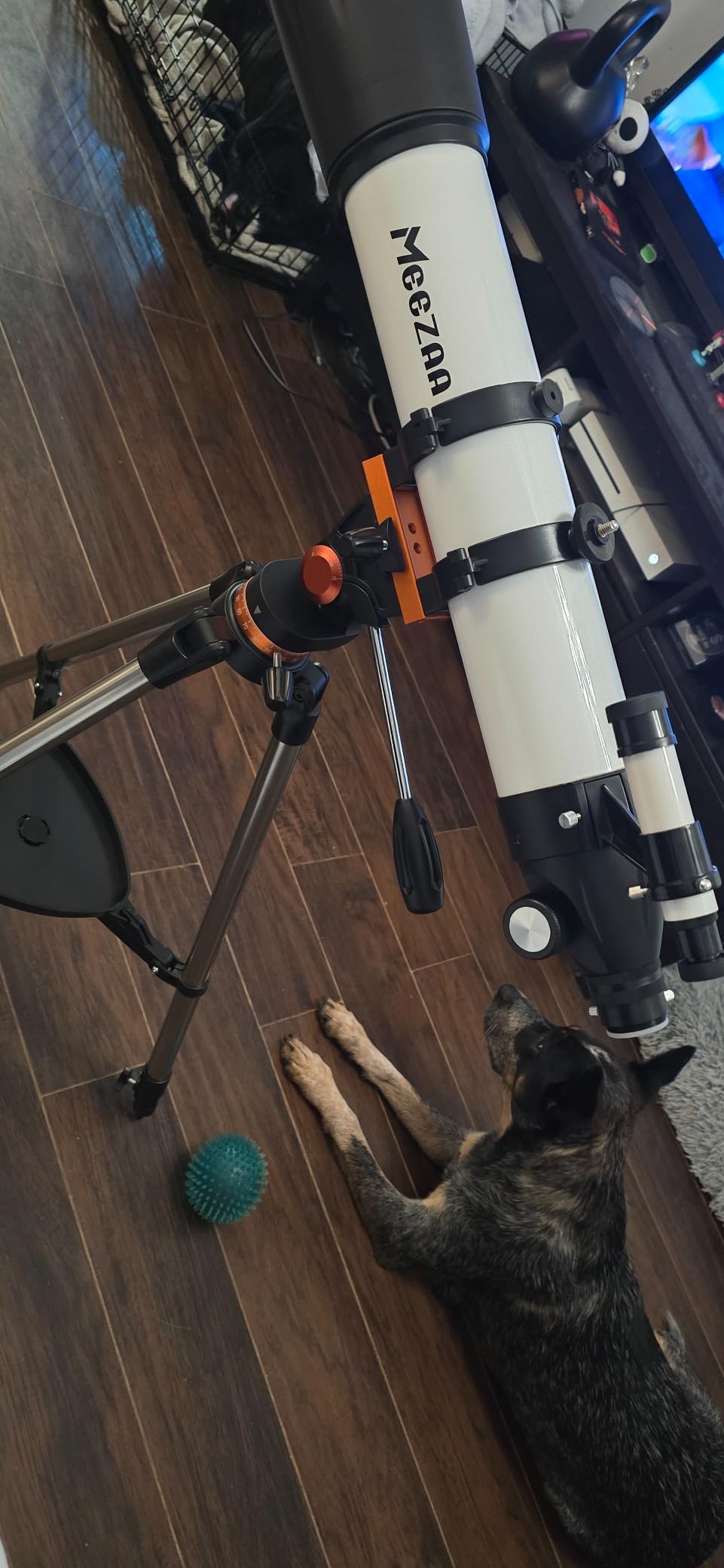 Telescope, Telescope for Adults High Powered Professional, 90mm Aperture 800mm Refractor Telescopes for Astronomy Beginners Fully Multi-Coated with AZ Mount Tripod & Phone Adapter & Carry Bag customer photo 2