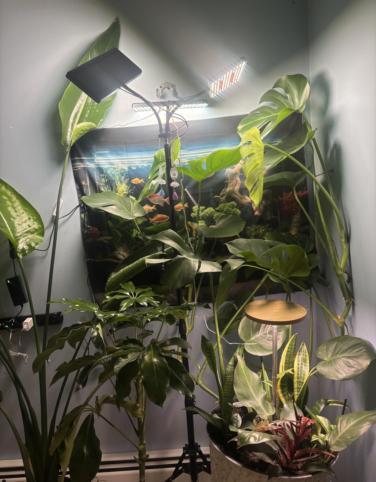 LBW Grow Light for Indoor Plants, 642 LEDs Grow Light with Stand | 3-Head Full Spectrum, 3/6/12H Auto Timer, 6 Brightness Levels, 3 Switch Modes, 68