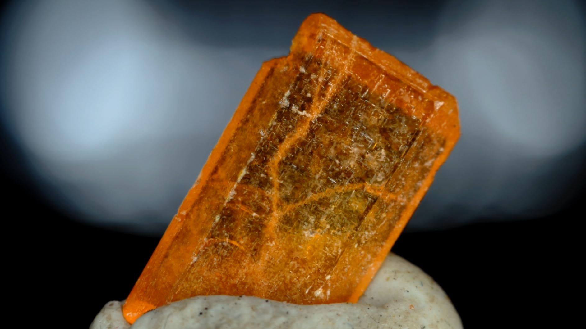 AVerMedia HDMI 2.1 Internal PCIe Capture Card for Streaming and Recording 4K60 with Ultra-Low Latency on PS5, PS4 Pro, Xbox Series X/S, Xbox One X, Switch Games - GC575 Live Gamer 4K 2.1 customer photo 2