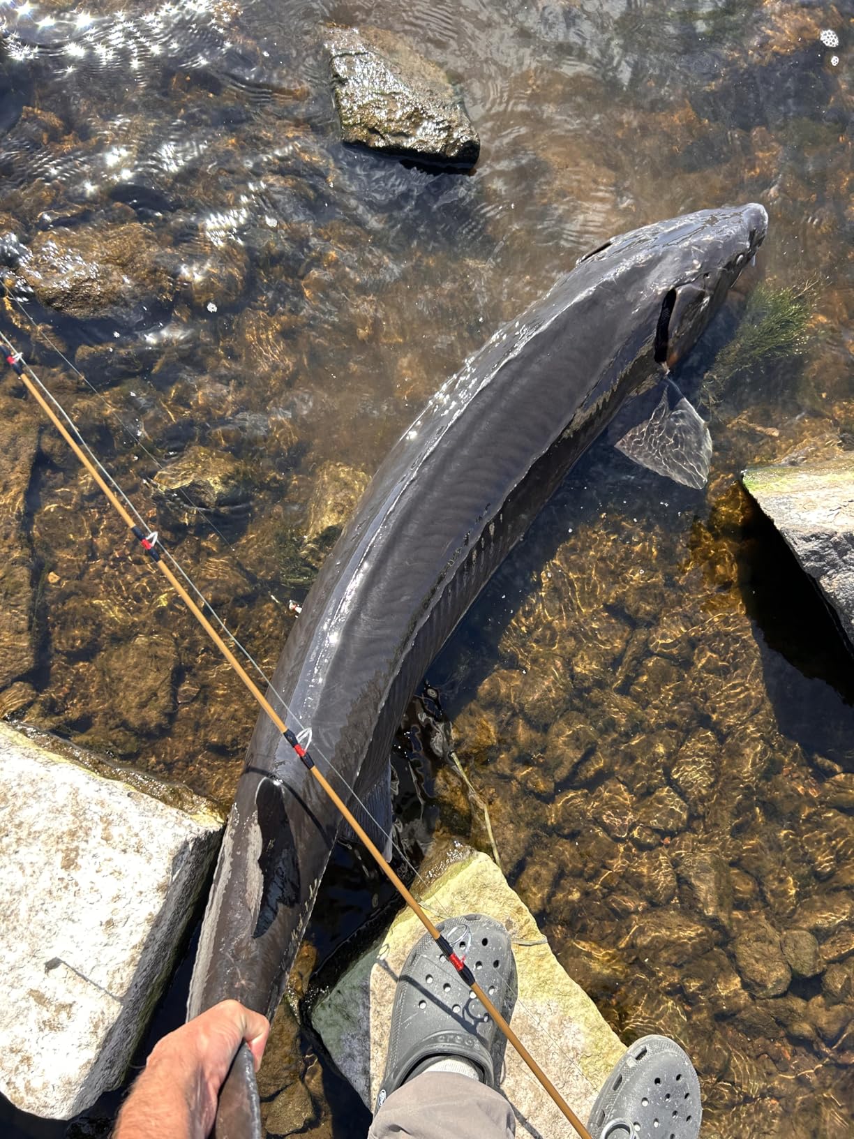 KastKing ReKon Saltwater Spinning Fishing Reel customer photo 1