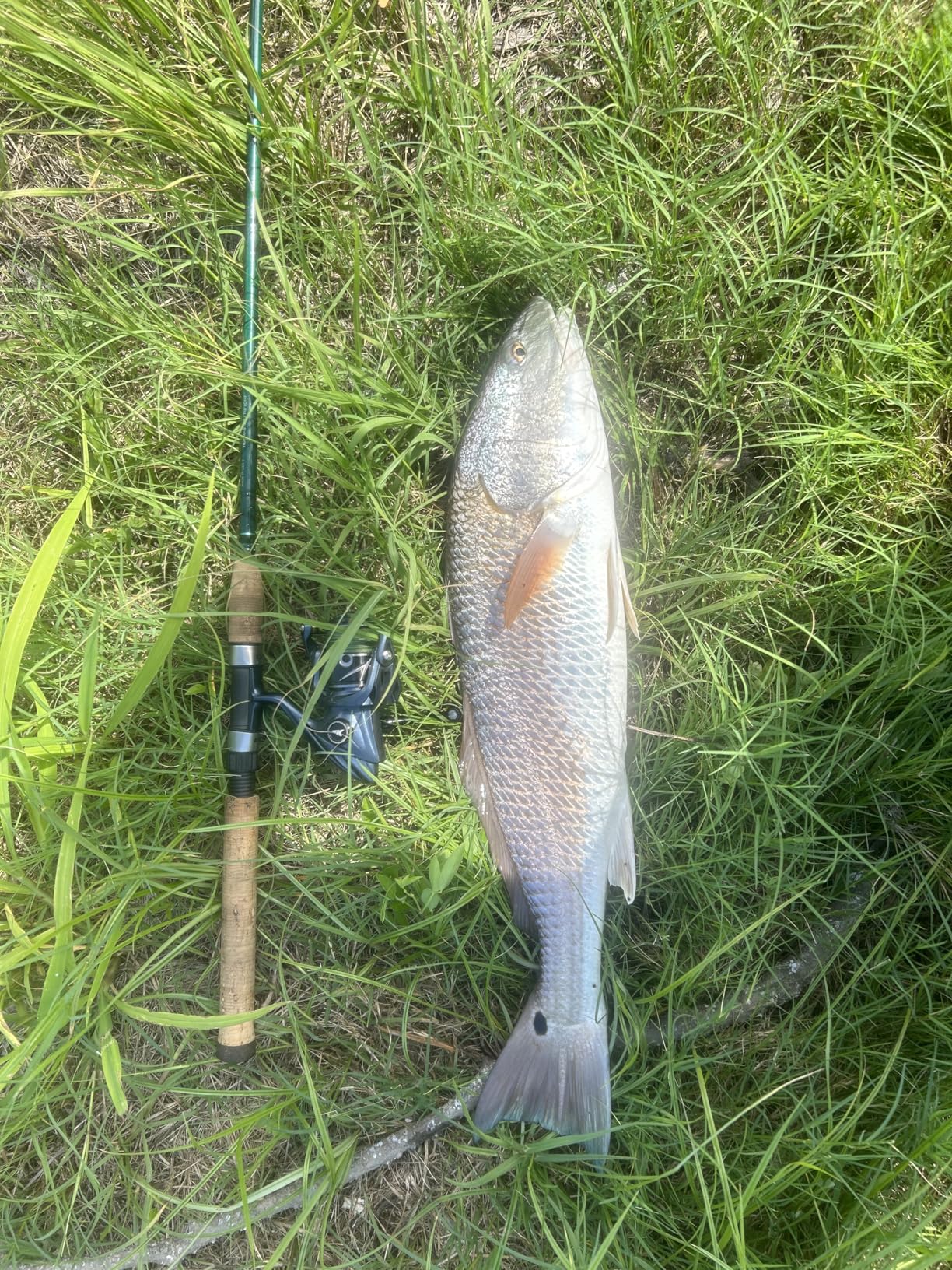 KastKing ReKon Saltwater Spinning Fishing Reel customer photo 2