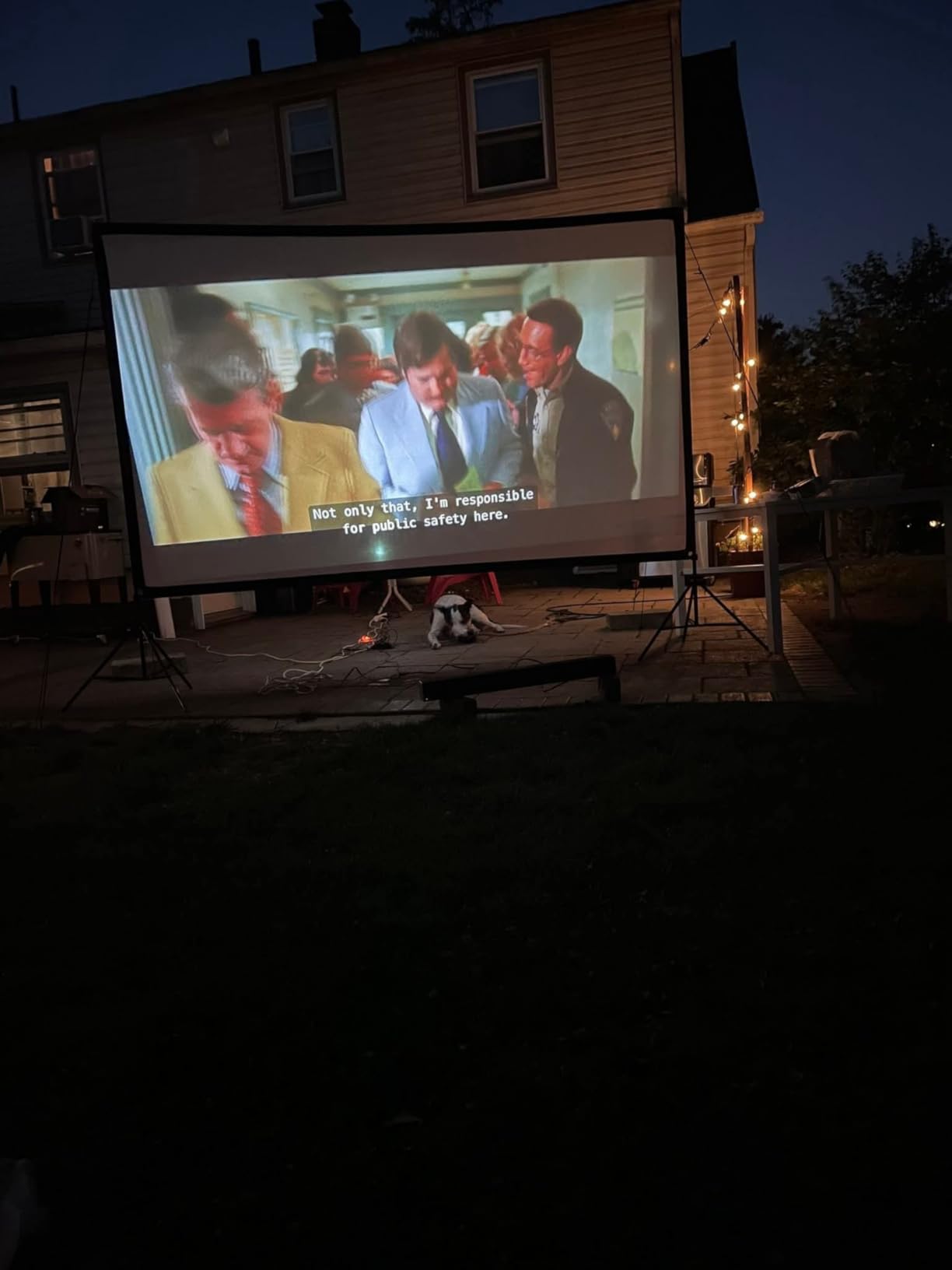 Projector Screen with Stand, 80 Inch Portable Projector Screen Outdoor Indoor, 1.2 Gain Fiberglass Projection Screen, 16:9 Outdoor Movie PVC Screen with Carrying Bag for Movie Night(White Screen) customer photo 2