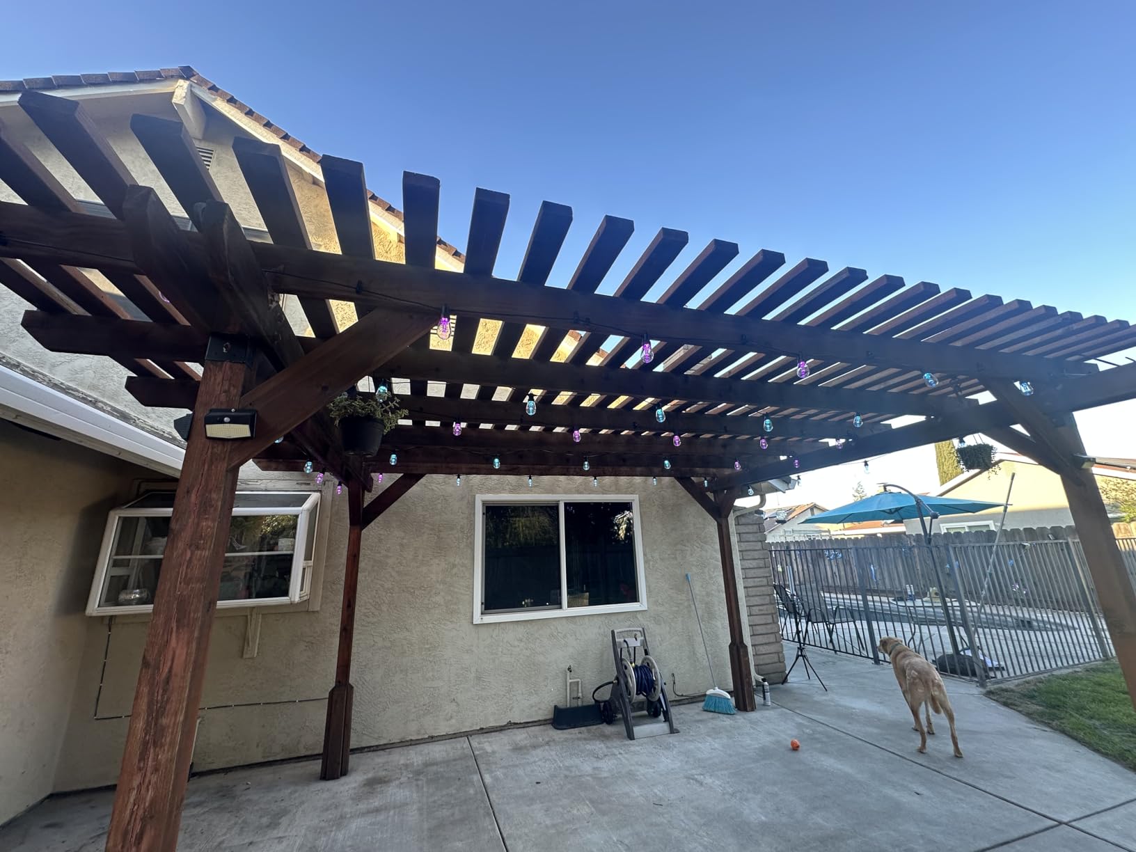 Outdoor String Lights 50FT, Outdoor Lights for Patio with 20 Dimmable RGBW LED Bulbs, IP66 Waterproof Shatterproof, with APP Control & Remote, 24V Adapter Color Change, for Backyard Decor customer photo 2