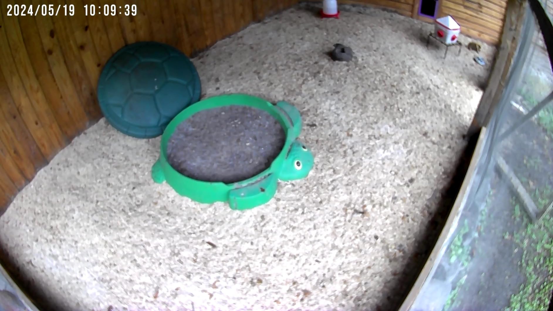 NETVUE by Birdfy Upgraded Smart Bird Feeder Camera, Solar Powered, Auto Bird Video Capture, Instant Notifications, AI Identify 6000+ Species customer photo 2