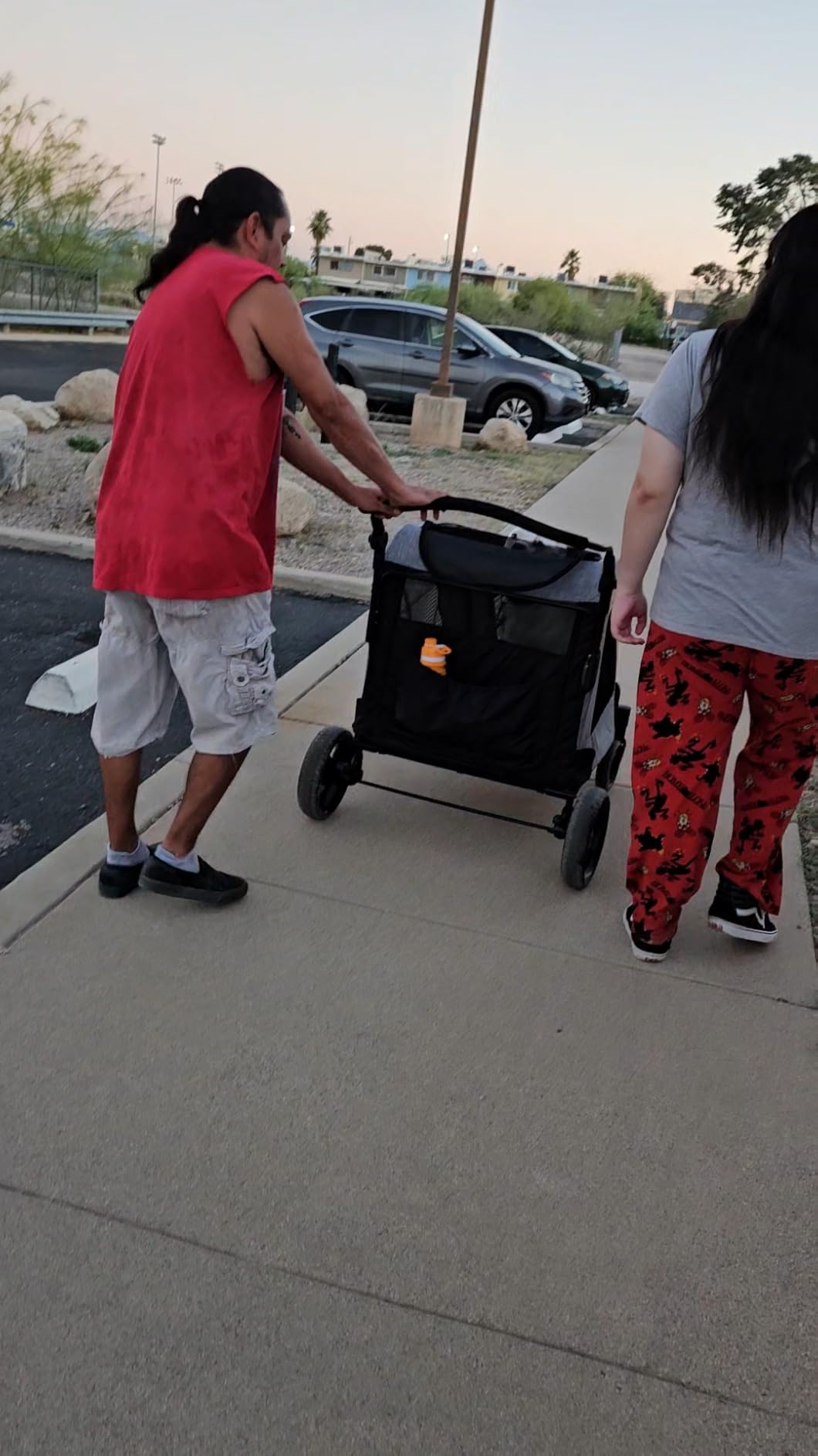 EchoSmile XL Extra Large Dog Stroller - Adjustable Handles, Lightweight Folding Pet Stroller, All-Terrain 4 Wheel for 2 Medium Dogs, Dual Entry Safety Dog Stroller, Capacity 160 lbs, Gray customer photo 2