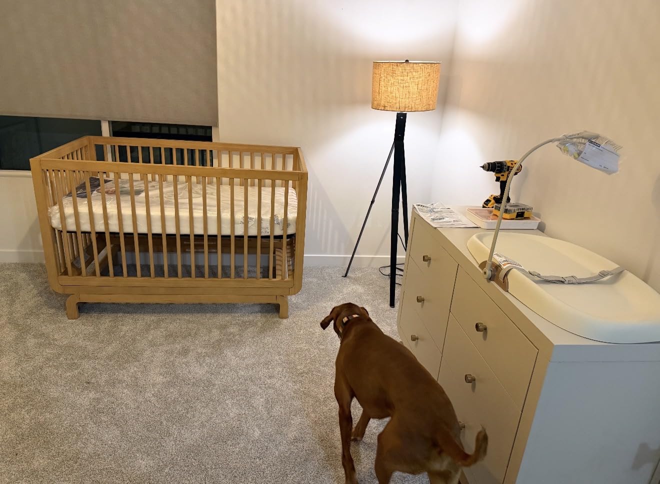 Storkcraft Santorini Deluxe 5-in-1 Convertible Crib with Bonus Toddler Guardrail (Driftwood) - GREENGUARD Gold Certified, Toddler Guardrail Included in Box, Fits Standard Crib Mattress customer photo 1