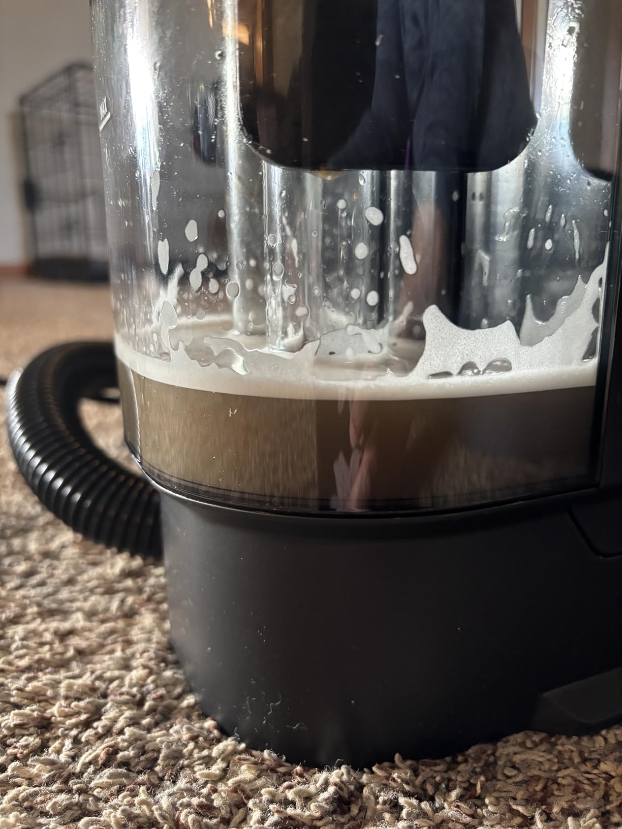 BISSELL Little Green Max Pet Portable Carpet and Upholstery Deep Cleaner, Car/Auto Detailer, with Self-Cleaning Tough Stain Tool and Pet Hair Removal Tool (3860) customer photo 1