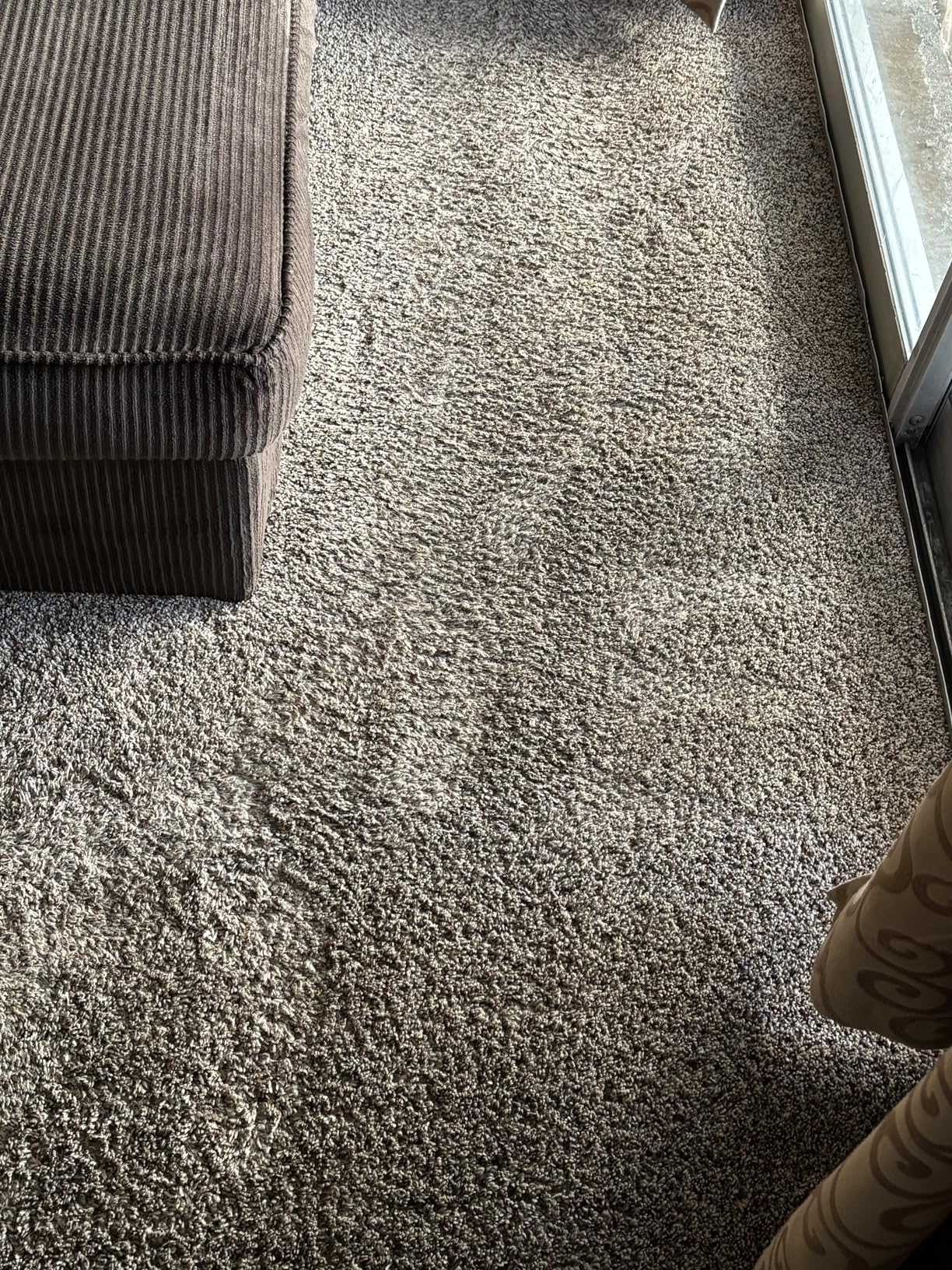 BISSELL Little Green Max Pet Portable Carpet and Upholstery Deep Cleaner, Car/Auto Detailer, with Self-Cleaning Tough Stain Tool and Pet Hair Removal Tool (3860) customer photo 2