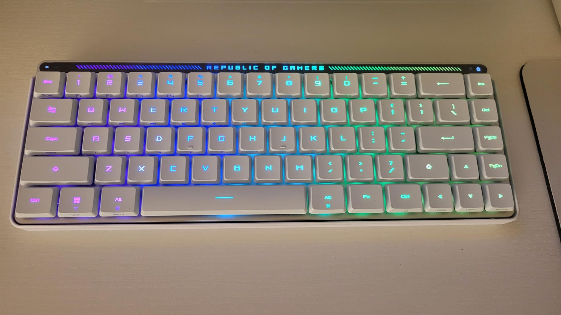 ASUS ROG Falchion RX Low Profile Wireless Gaming Keyboard - 65% Compact TKL, Tri-Mode Connectivity, ROG RX Red Optical Switches, RGB, Touch Panel, Keyboard Cover, PC/Mac Support - White customer photo 1