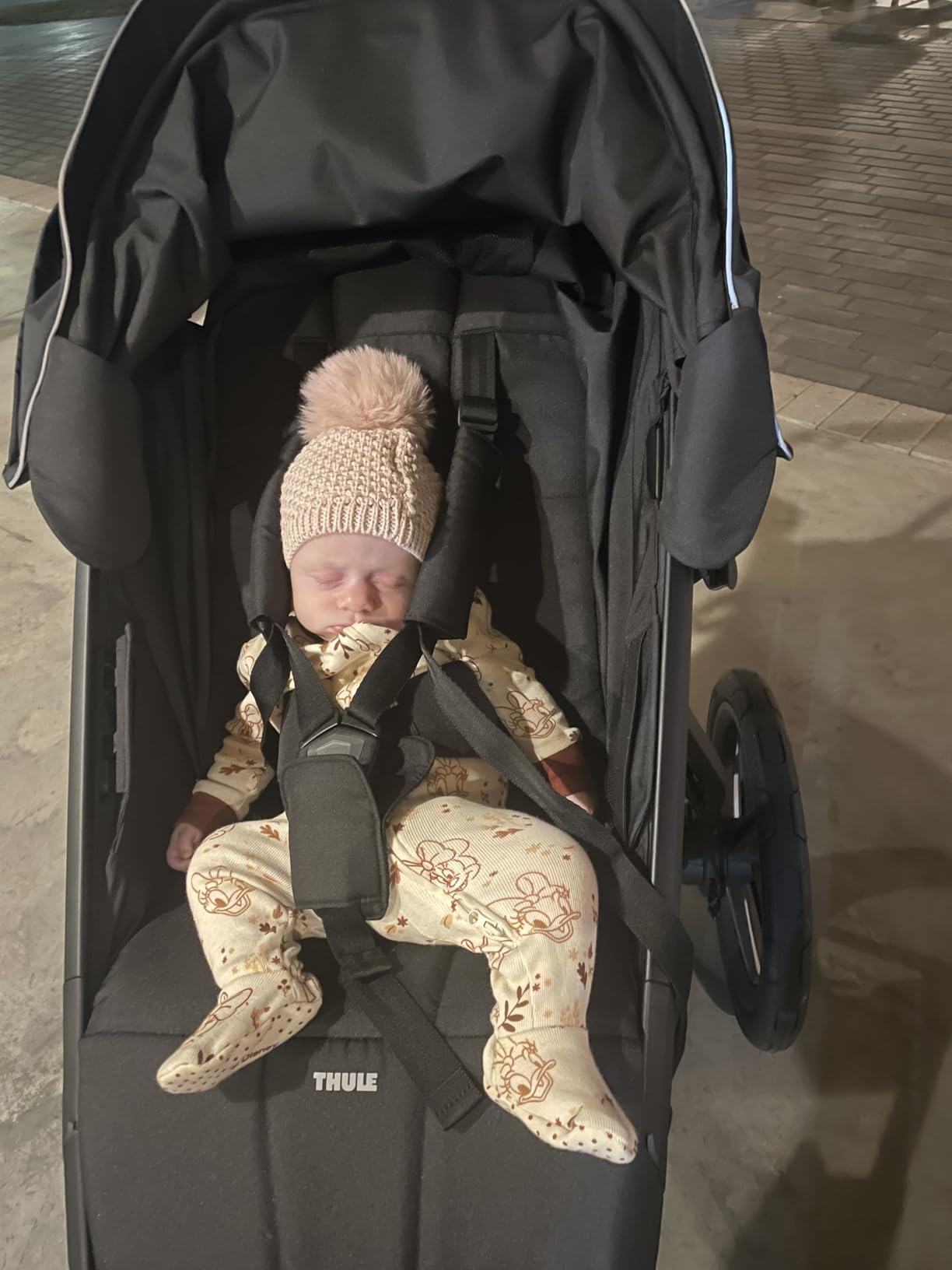 Thule Urban Glide 3 Single Child All-Terrain Stroller, Full-Suspension System, Air-Filled Tires, Upright seat with Adjustable Recline and Built-in legrest customer photo 2