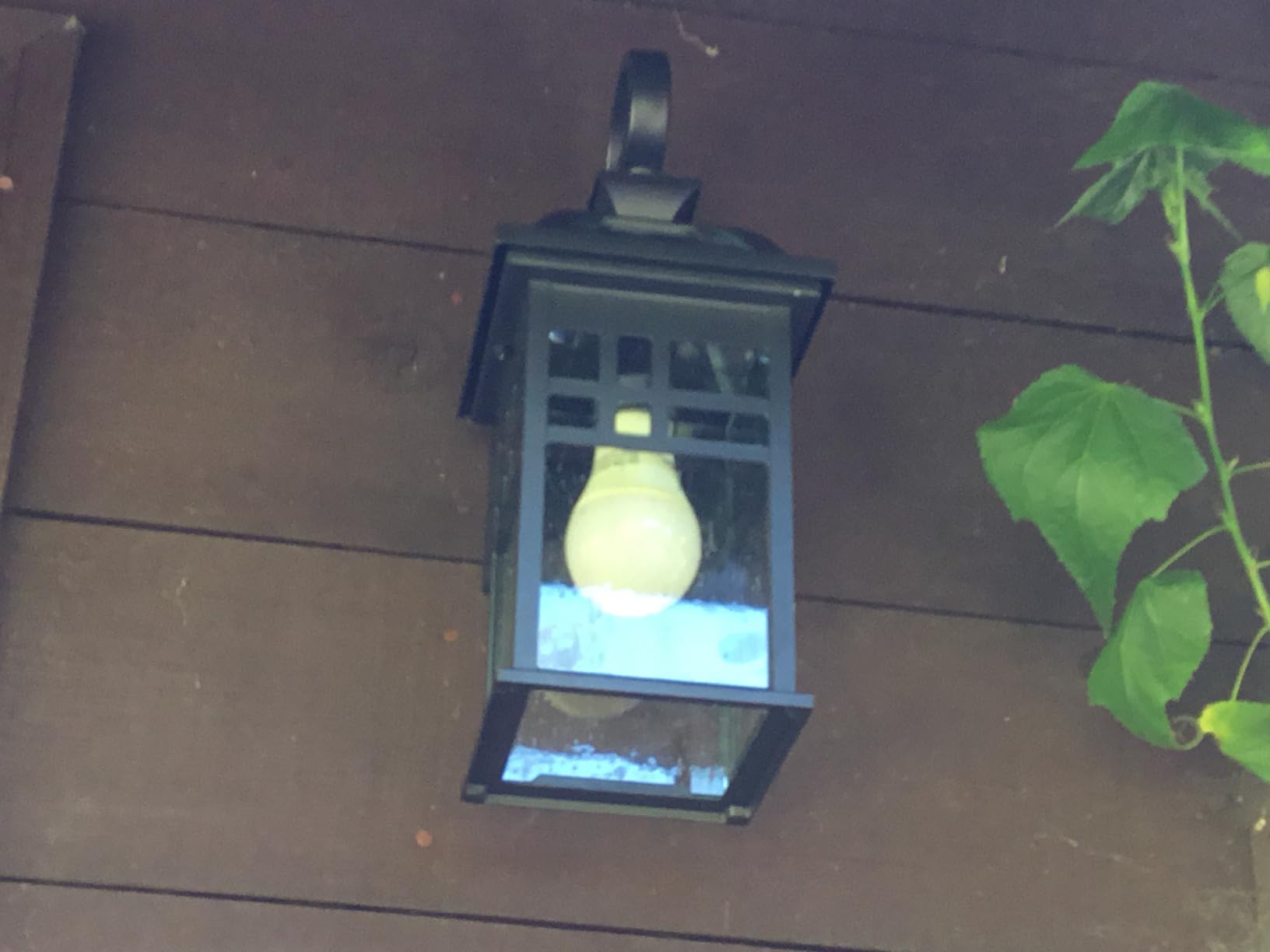 Emliviar 20 Inch Outdoor Pendant Light for Porch, Outdoor Chandelier for Porch, Die-Cast Aluminum with Seeded Glass, Black Finish, DE281H-M BK customer photo 2