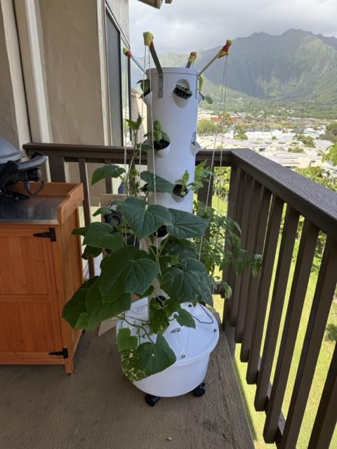 GX Hydroponic Tower | Vertical Planter Tower | Hydroponics Growing System Kit | Food Grade with 24 Net Pots (Without Lights) customer photo 1