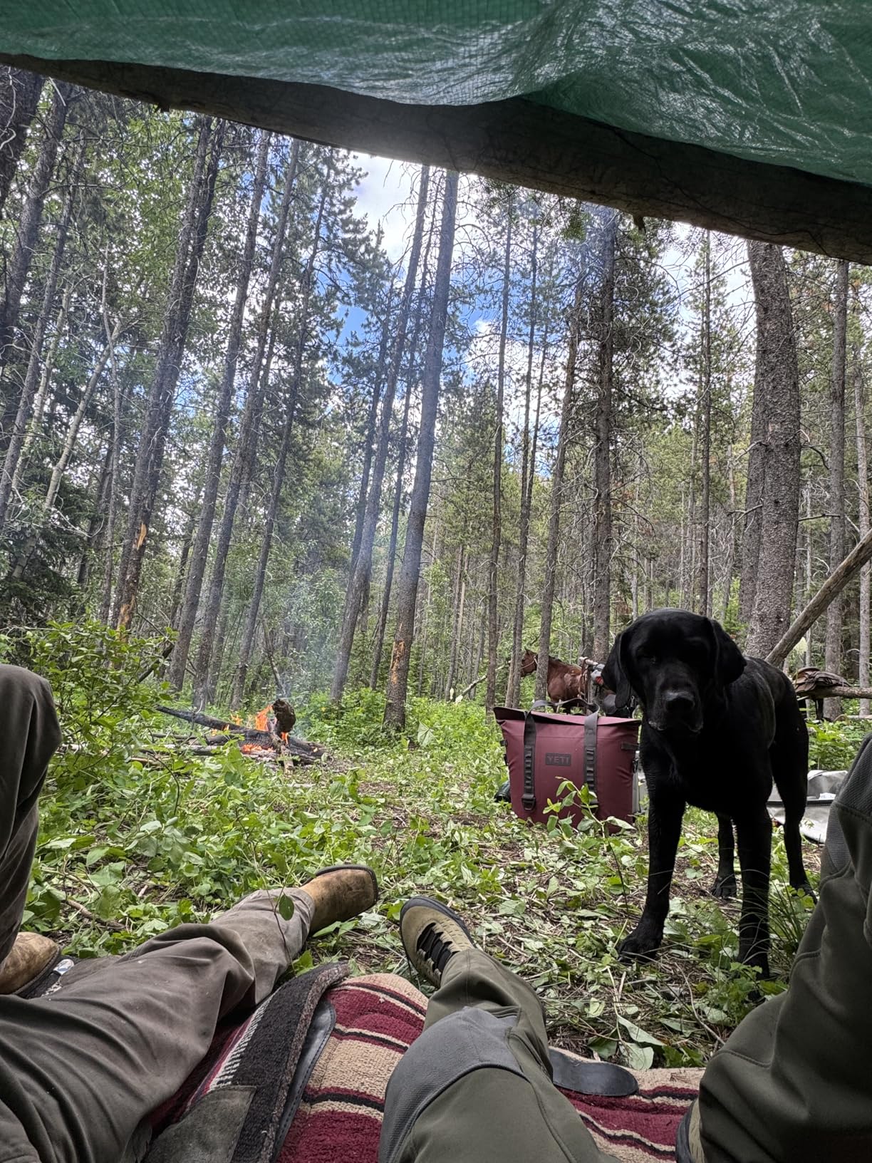 YETI Hopper M Series Portable Soft Cooler with MagShield Access customer photo 1