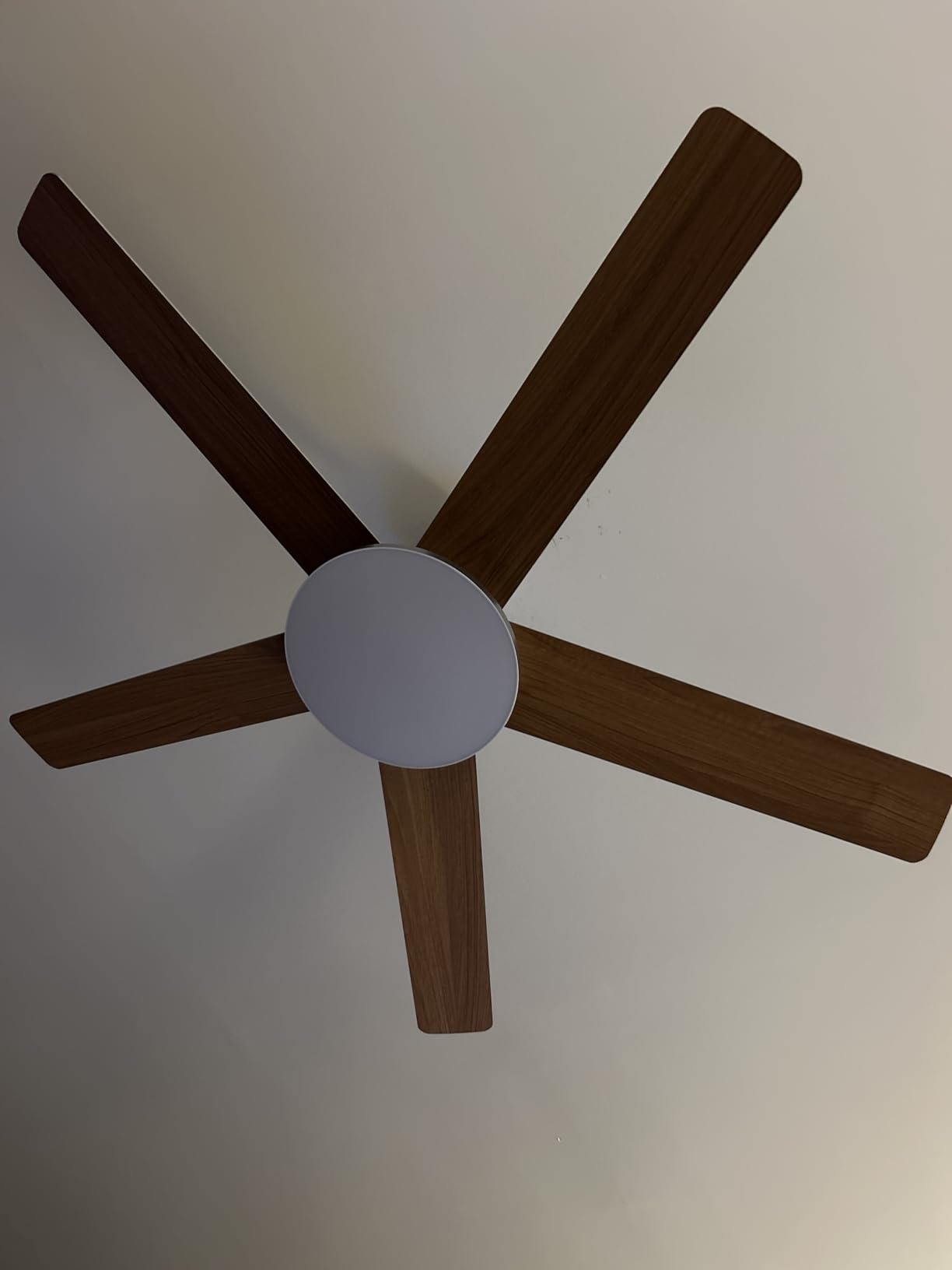 DREO Ceiling Fans with Lights, 52 Inch, 6 Speeds, 5 Color Tones Dimmable LED, Quiet Reversible DC Motor, Remote, 8H Timer, Black Ceiling Fan for Bedroom, Living Room, Easy to Install customer photo 2