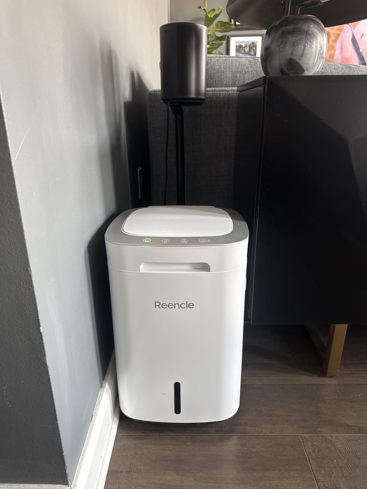 Reencle Prime Electric Composter - 14L Kitchen Composter, Decomposes Up to 2.2 lbs Food Waste Daily, Odorless Indoor Composting with Whisper-Quiet Technology & Rapid Decomposition (White) customer photo 2