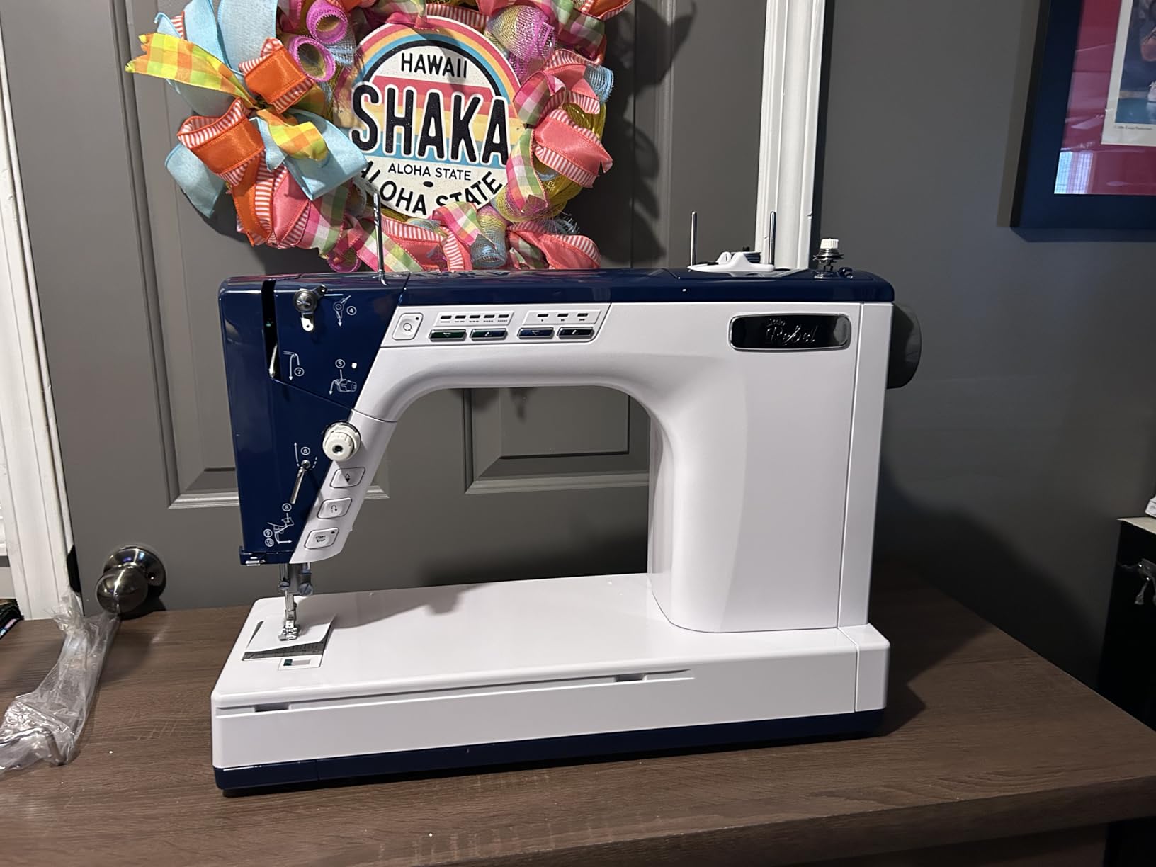 Little Rebel Sewing and Quilting Machine with Built-in Stitch Regulation customer photo 1