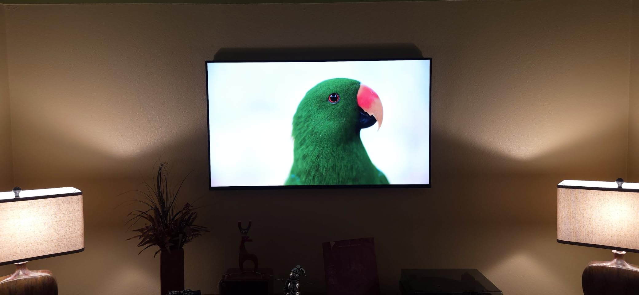 Roku Smart TV - 55-Inch Pro Series 4K QLED RokuTV with Backlit Roku Voice Remote Pro, Dolby Vision IQ, 120Hz Refresh Rate - Live Local News, Sports, Gaming customer photo 2