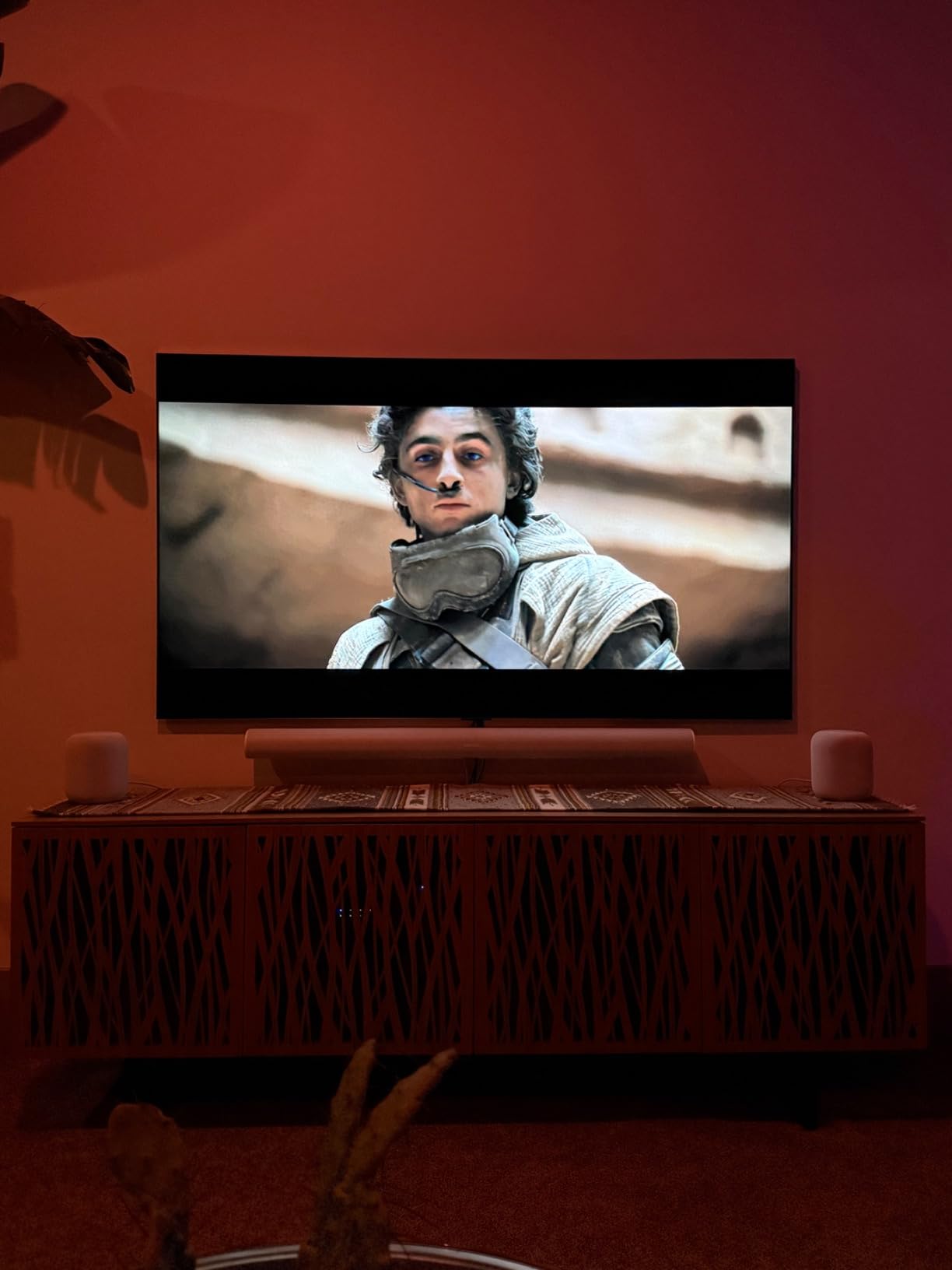 LG 77-Inch Class OLED evo G4 Series Smart TV 4K Processor Flat Screen with Magic Remote AI-Powered with Alexa Built-in (OLED77G4WUA, 2024) customer photo 2