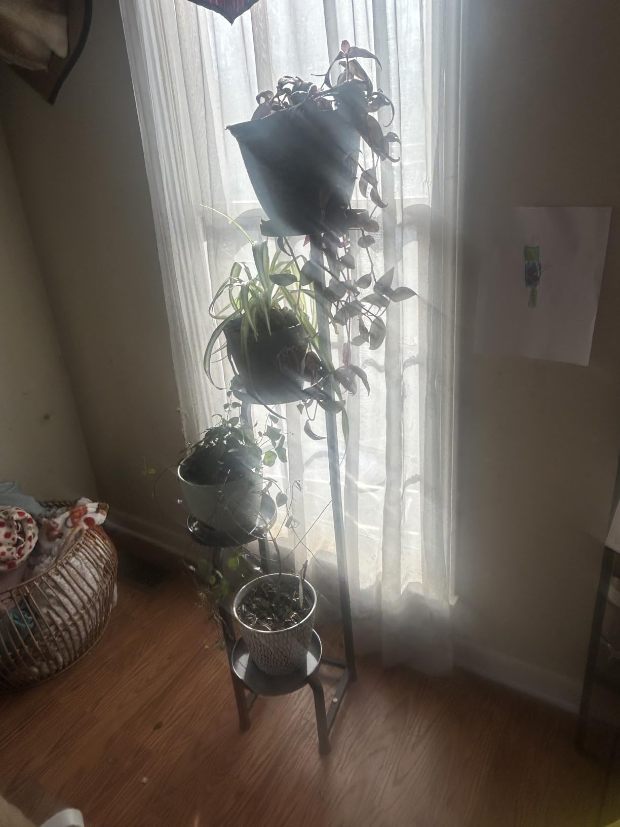 Bamworld Tall Plant Stand Indoor Outdoor, Corner Metal Flower Pot Stands for Multiple Plants, 4 Tier Heavy Duty Plant Shelf for Patio Garden Balcony Living Room Bedroom(Patent Design) customer photo 2