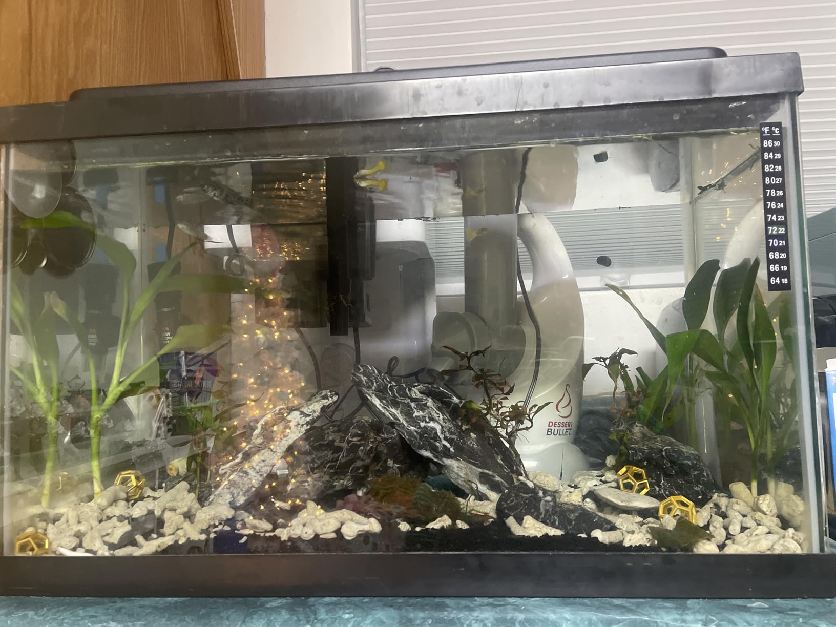 AQUANEAT Aquarium Heater, 50W Fish Tank Heater, Adjustable Submersible Water Thermostat with Thermometer customer photo 1