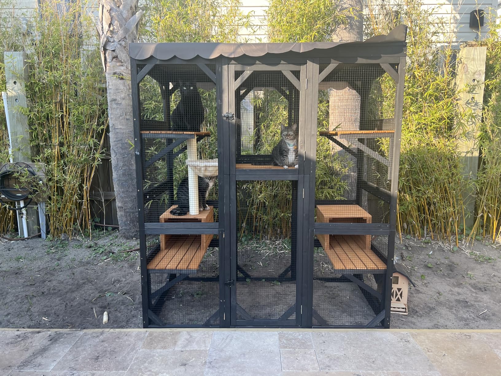 Aivituvin Catio Outdoor Cat Enclosure with 7 Platforms, 2 Resting Boxes, Large Window Cat House for 4-6 Mulitiple Cats Walk in Kitty Cage with Weatherproof Tarp Roof 70