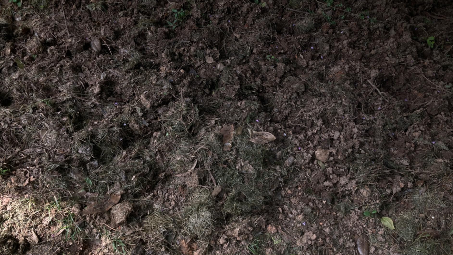 NOVUS 212cc 4 Cycle Front Tine Tiller Cultivator, Tilling Width Adjustment 12